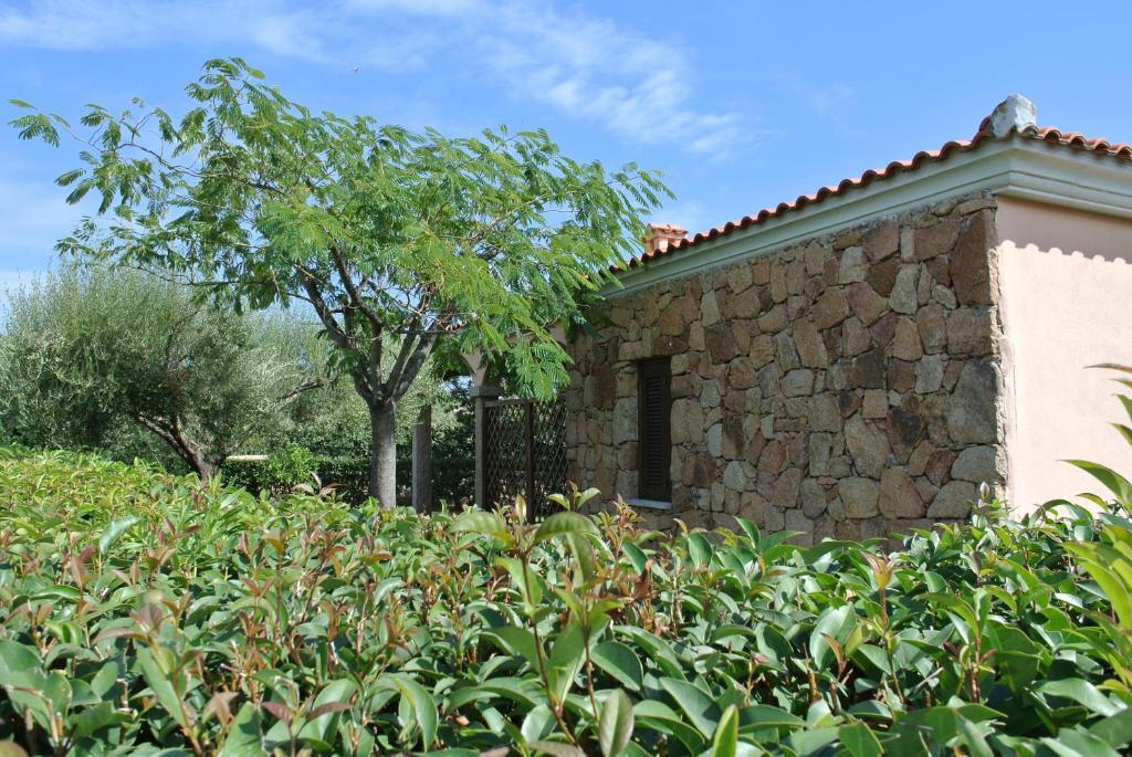 Case Vacanza Fenicotteri San Teodoro  Exteriör bild